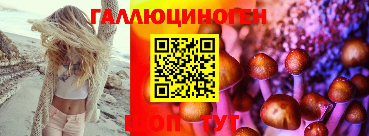 Димитровград  Псилоцибиновые грибы Psilocybe  Вход с VPN  Галлюциногенные грибы MAGIC MUSHROOMS 